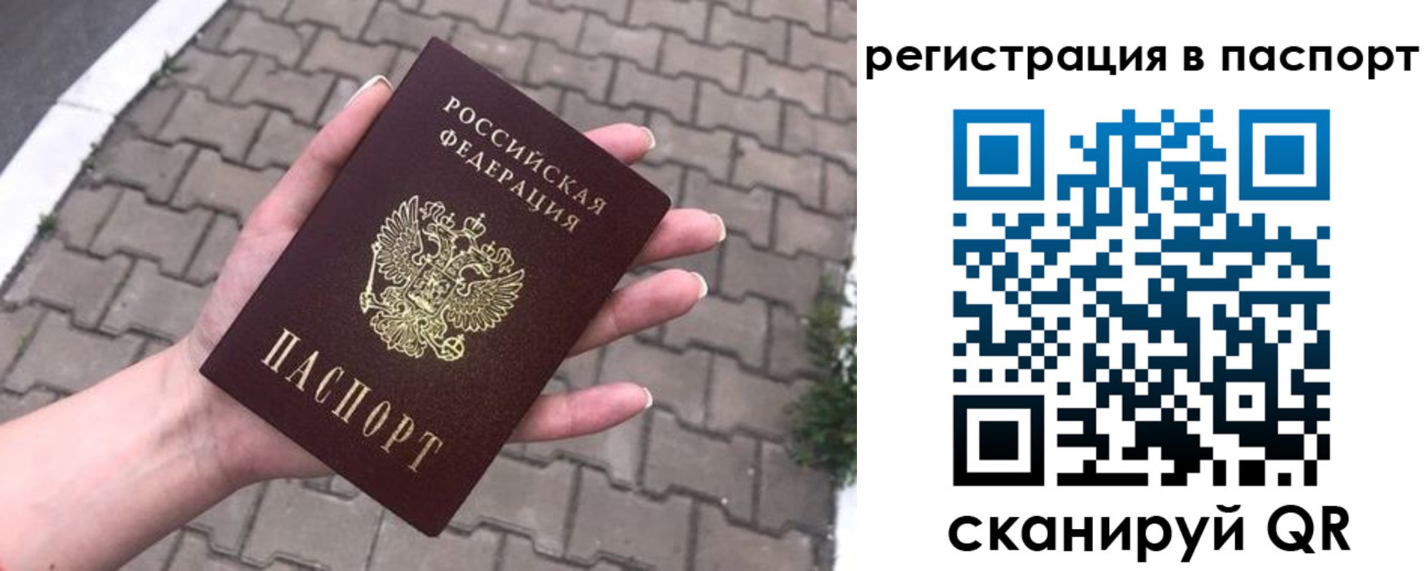 прописка 2025 в Новоалександровске